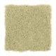 Sea Star in Key Lime - Carpet by Mohawk Flooring