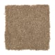 Soft Idea I in Ancient Treasure - Carpet by Mohawk Flooring