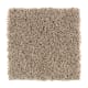 Sassy Arrangement in Quarry - Carpet by Mohawk Flooring