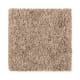 Simple Selection in Worn Leather - Carpet by Mohawk Flooring