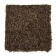 Beautiful Addition in Grandfather Clock - Carpet by Mohawk Flooring