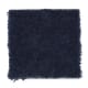 Solo in Twilight - Carpet by Mohawk Flooring