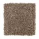 Serene Touch in Soapstone - Carpet by Mohawk Flooring