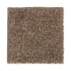 Nearby Beauty in Italian Suede - Carpet by Mohawk Flooring