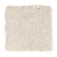 Creative Showcase II in Fossil Stone - Carpet by Mohawk Flooring