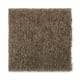 Posh Origins in Sassafras - Carpet by Mohawk Flooring