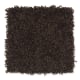 Smart Color in Hot Fudge - Carpet by Mohawk Flooring