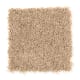 Intelligent Style in Honeysuckle - Carpet by Mohawk Flooring