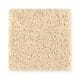 Surreal Style in Daybreak - Carpet by Mohawk Flooring