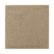 Natural Splendor I in Brushed Suede - Carpet by Mohawk Flooring