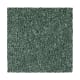 Memorable View in Balsam - Carpet by Mohawk Flooring