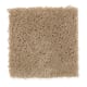 Solo in Winter Garden - Carpet by Mohawk Flooring