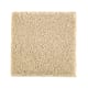 Native Allure I in Beach Pebble - Carpet by Mohawk Flooring