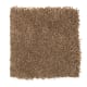 Exclusive Content II in Malted - Carpet by Mohawk Flooring