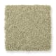 Distinctive Setting in Granny Smith - Carpet by Mohawk Flooring
