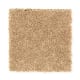 Added Pizazz in Sundrenched - Carpet by Mohawk Flooring