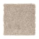Enticing Objective in Brushed Suede - Carpet by Mohawk Flooring