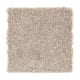 Enticing Objective in Brushed Suede - Carpet by Mohawk Flooring