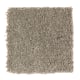 Grand Enchantment in Safari Tan - Carpet by Mohawk Flooring