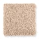 Skillful Intent in Jute - Carpet by Mohawk Flooring