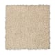 Solo in Seashell - Carpet by Mohawk Flooring