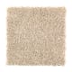 Tempting Example in Toasted Almond - Carpet by Mohawk Flooring