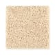 Intelligent Style in Blondie - Carpet by Mohawk Flooring