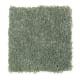 American Tradition in Gecko - Carpet by Mohawk Flooring