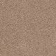 Awaited Bliss in Wildwood - Carpet by Mohawk Flooring