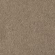 Soft Eloquence in Teak - Carpet by Mohawk Flooring