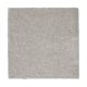Pure Comfort in Classic Silver - Carpet by Mohawk Flooring