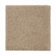 Organic Beauty I in Toasted Bagel - Carpet by Mohawk Flooring