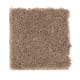 Atlantic Coast in Trail Blazer - Carpet by Mohawk Flooring