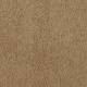 Soft Eloquence in Flaxen Air - Carpet by Mohawk Flooring