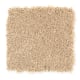 Nearby Beauty in Curry - Carpet by Mohawk Flooring