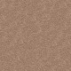 Secluded Oasis in Wildwood - Carpet by Mohawk Flooring