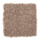 Modern Ease in Malt - Carpet by Mohawk Flooring