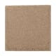 Natural Splendor II in Spiced Tea - Carpet by Mohawk Flooring