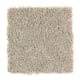 Tempting Example in Mushroom Cap - Carpet by Mohawk Flooring