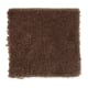 Solo in Saddle - Carpet by Mohawk Flooring