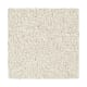 Memorable View in Balsam Beige - Carpet by Mohawk Flooring