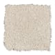 Intriguing Array in Moonbeam - Carpet by Mohawk Flooring
