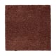 Calming Promise in Tibetan - Carpet by Mohawk Flooring