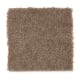 Solo in Wooden Beam - Carpet by Mohawk Flooring