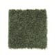 Northern Shores in Buffalo - Carpet by Mohawk Flooring