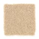 Edgewood Estates in Desert Star - Carpet by Mohawk Flooring