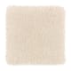 Homefront I Abac Weldlok 15 Ft 00 In in Lucky Pearl - Carpet by Mohawk Flooring