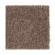 Eternal Allure III in Warm Earth - Carpet by Mohawk Flooring