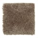 Homefront I Abac Weldlok 15 Ft 00 In in Rustic Beam - Carpet by Mohawk Flooring