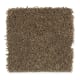 Sea Star in Pirate's Hideaway - Carpet by Mohawk Flooring